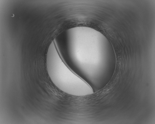X0000070860916200606161006