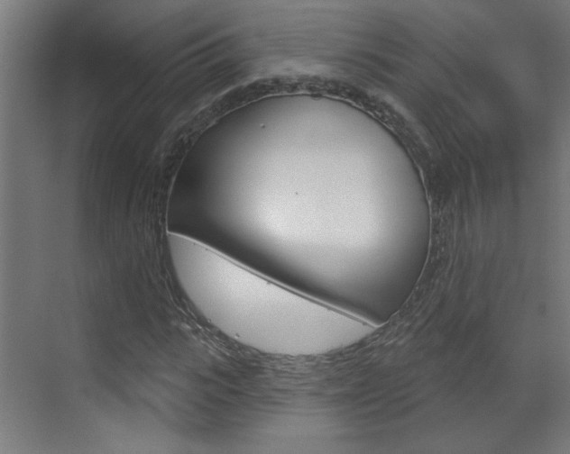 X0000070860919200606161006