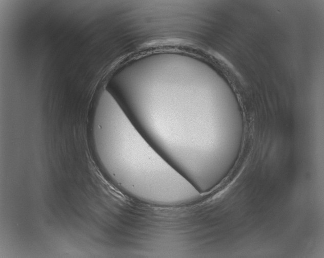X0000070860921200606161006