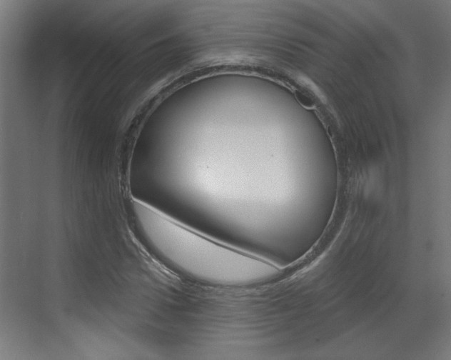 X0000070860922200606161006