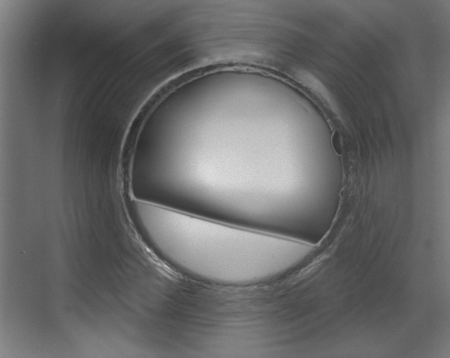 X0000070860924200606161006
