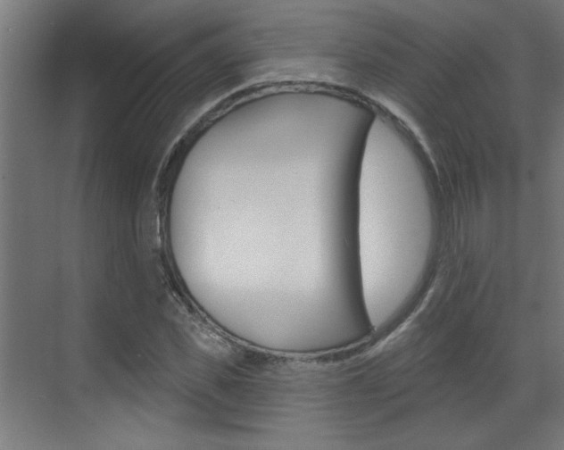 X0000070860925200606161006