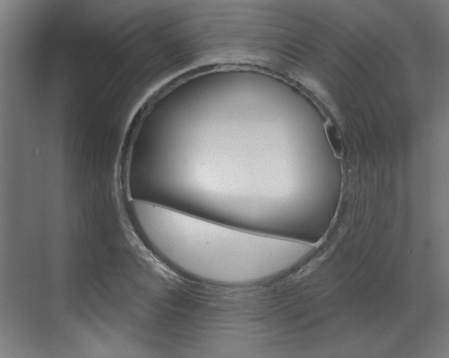 X0000070860928200606161007