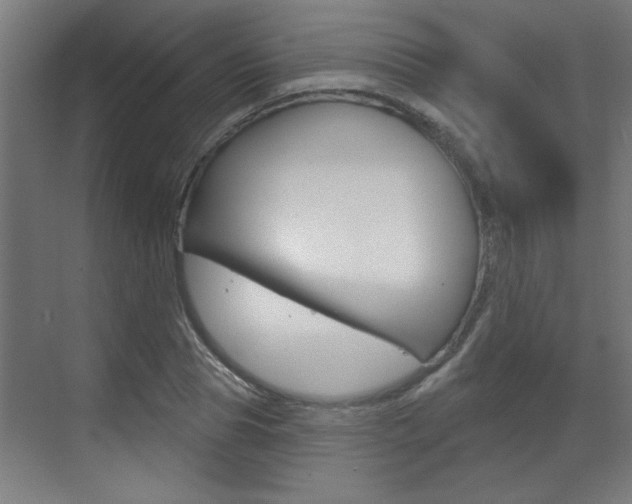 X0000070860929200606161007