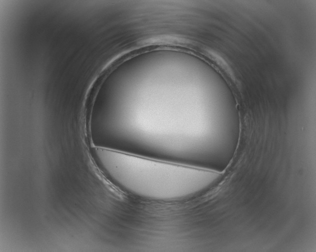 X0000070860931200606161007