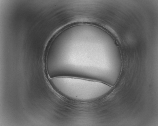 X0000070860935200606161007