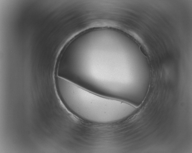 X0000070860943200606161007
