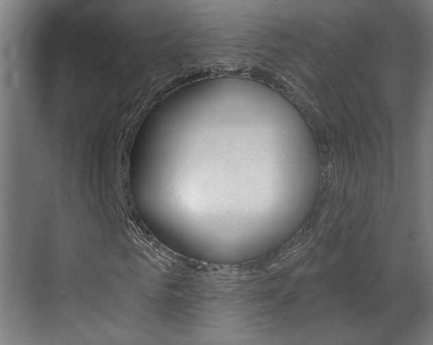 X0000070860961200606161006