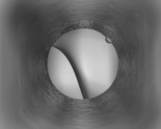 X0000070860962200606161006