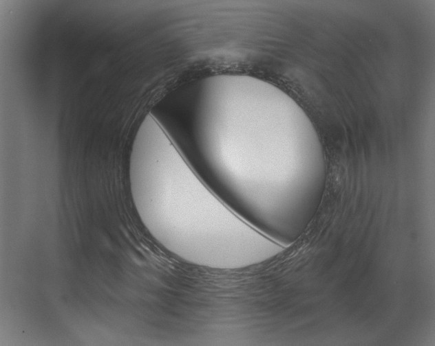 X0000070860964200606161006