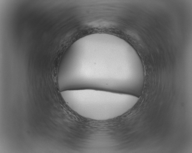 X0000070860966200606161006