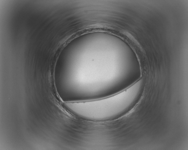 X0000070860969200606161006