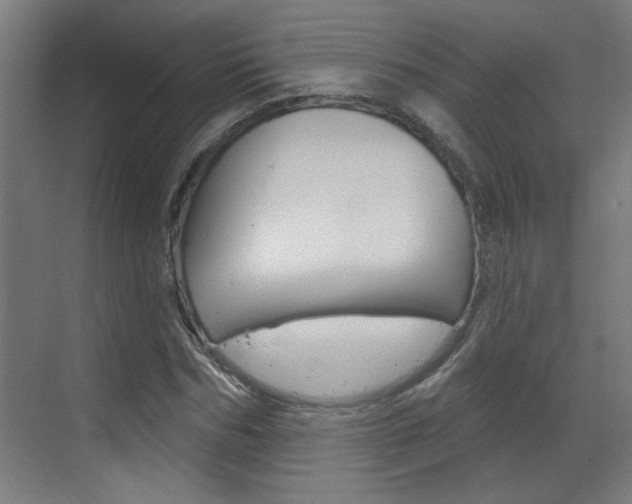 X0000070860970200606161006