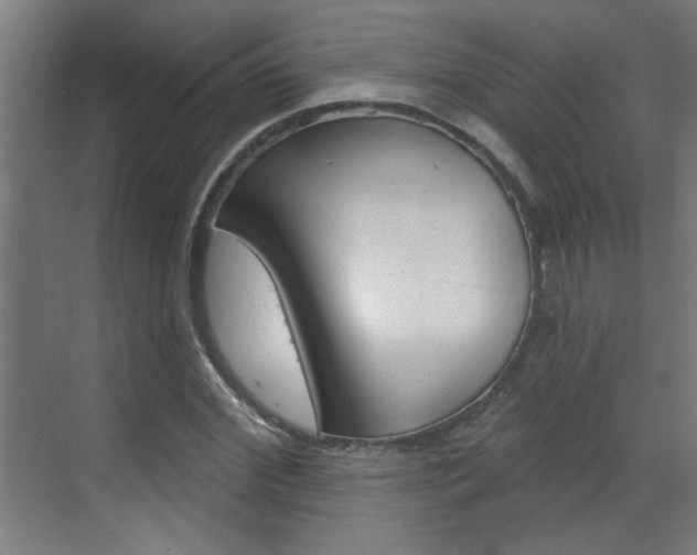 X0000070860972200606161006
