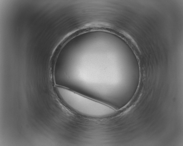 X0000070860973200606161006