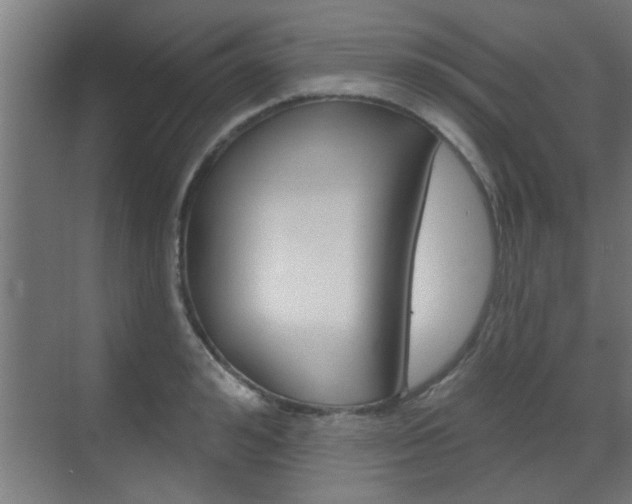 X0000070860992200606161006