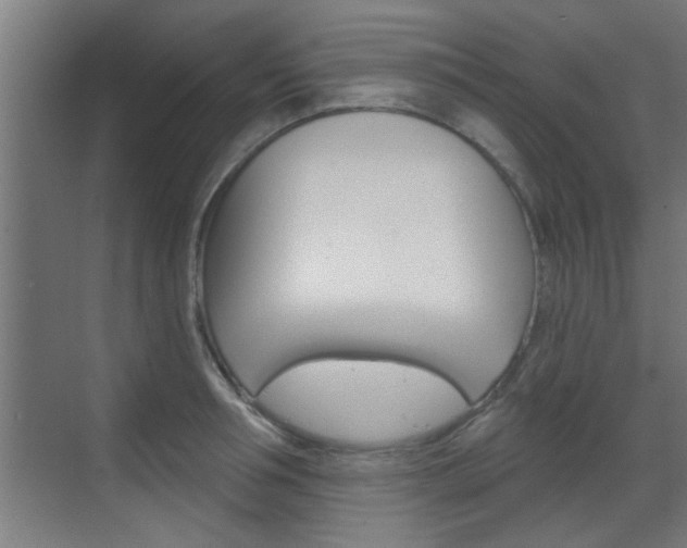 X0000070860994200606161006