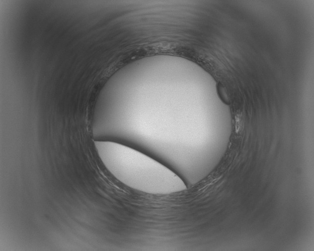 X0000070861011200606161005