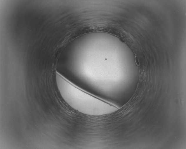 X0000070861012200606161005