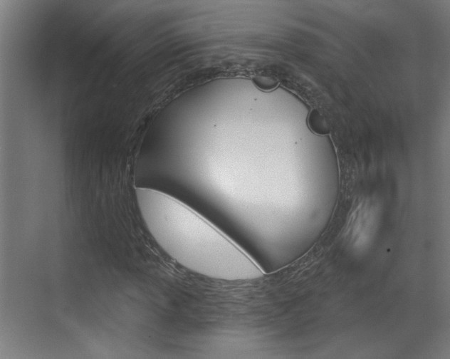 X0000070861013200606161005