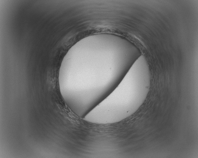 X0000070861015200606161005
