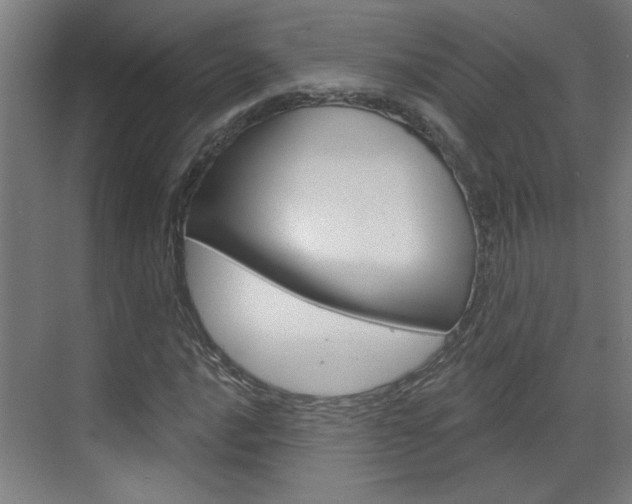 X0000070861016200606161005