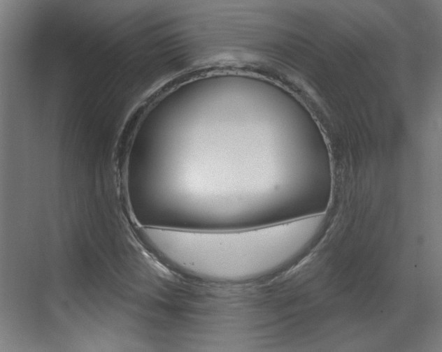X0000070861018200606161005