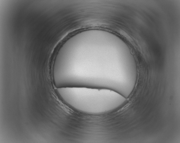 X0000070861023200606161005