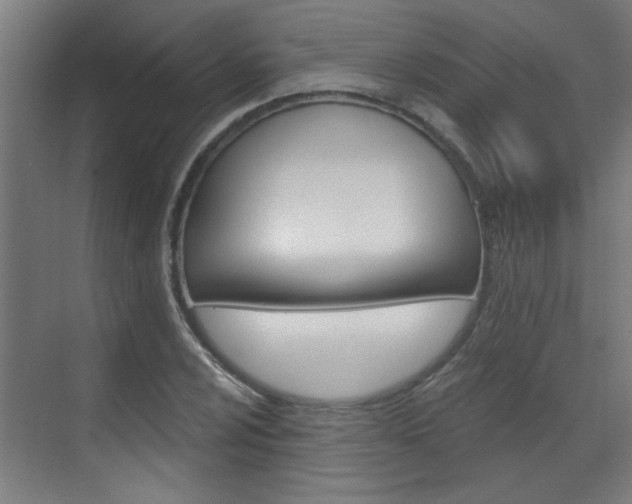 X0000070861024200606161005