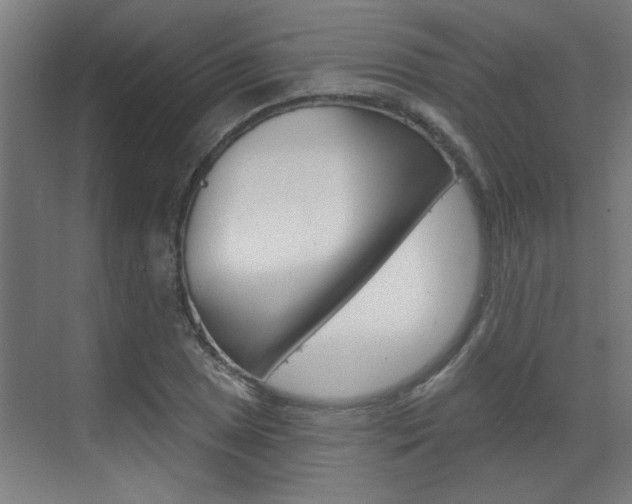 X0000070861025200606161005