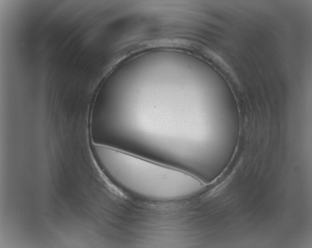 X0000070861033200606161005