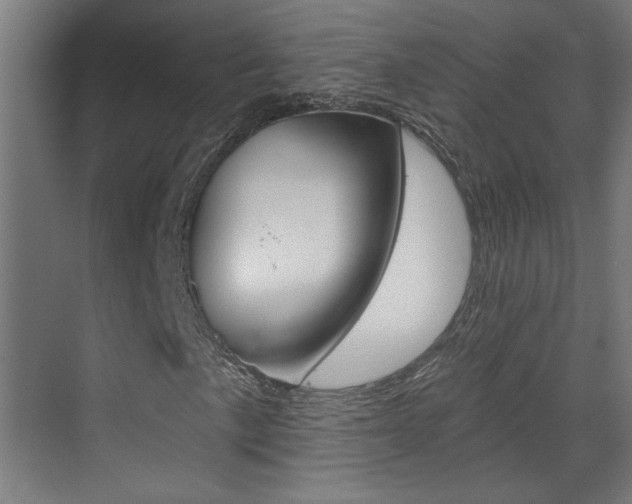 X0000070861057200606161005