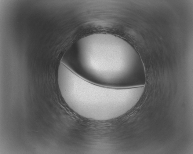 X0000070861061200606161005