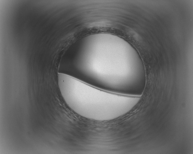 X0000070861062200606161005