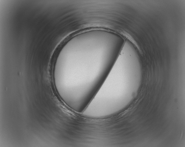 X0000070861068200606161004