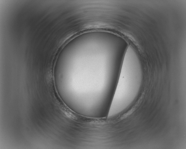 X0000070861073200606161004