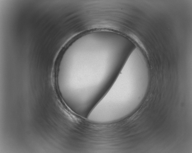 X0000070861076200606161004