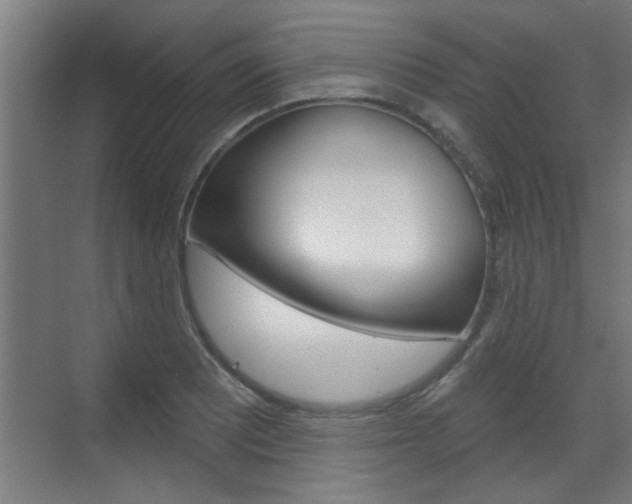 X0000070861081200606161004