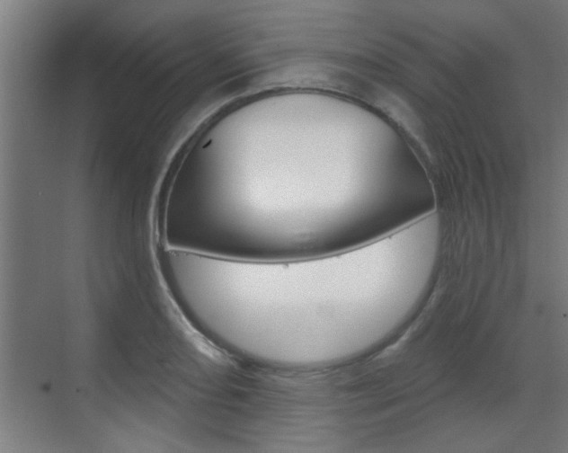 X0000070861082200606161004