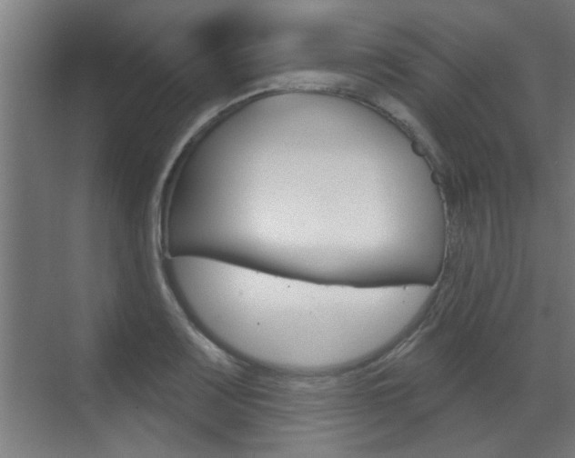 X0000070861083200606161004