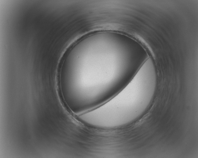 X0000070861085200606161004