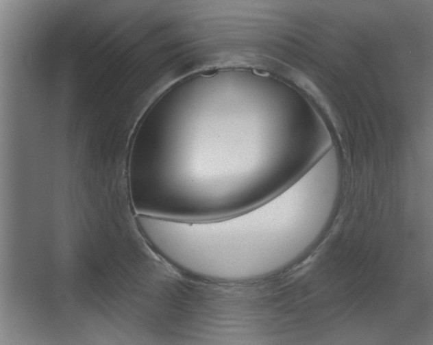 X0000070861089200606161004