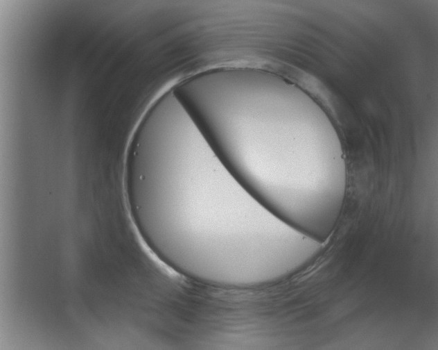 X0000070861095200606161004