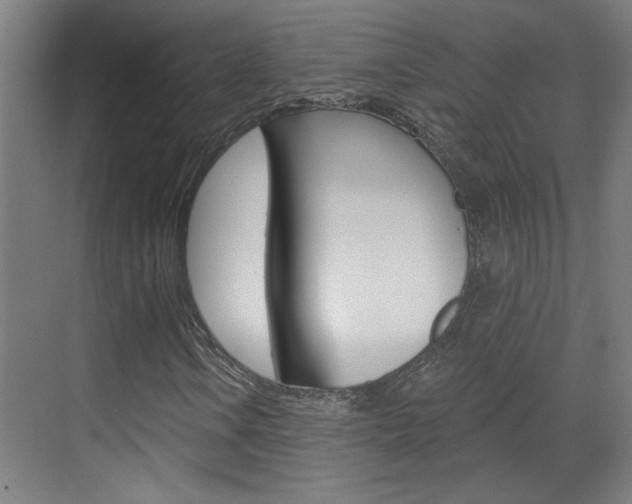X0000070861106200606161003