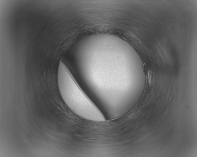 X0000070861107200606161003