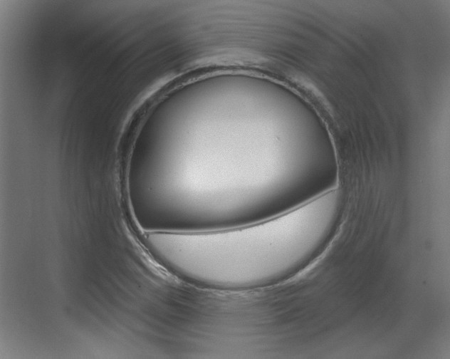 X0000070861114200606161003