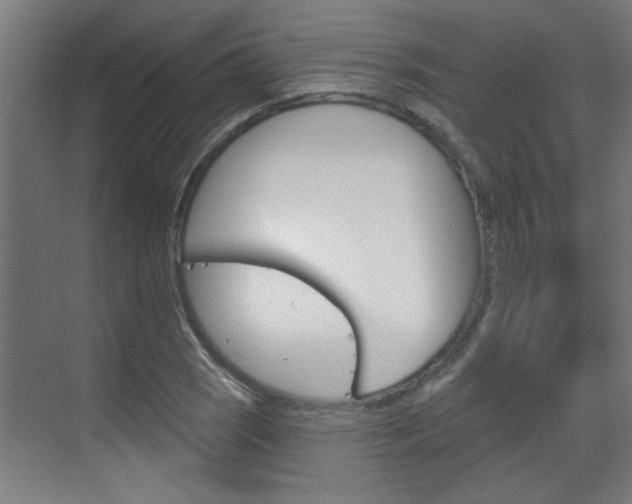X0000070861121200606161003