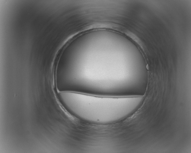 X0000070861127200606161003