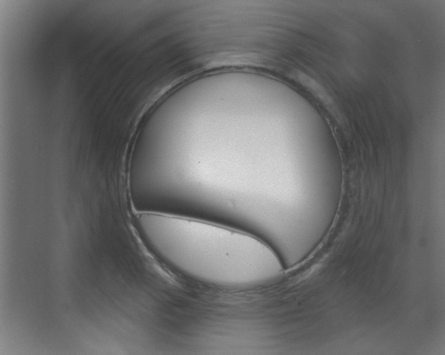 X0000070861129200606161003