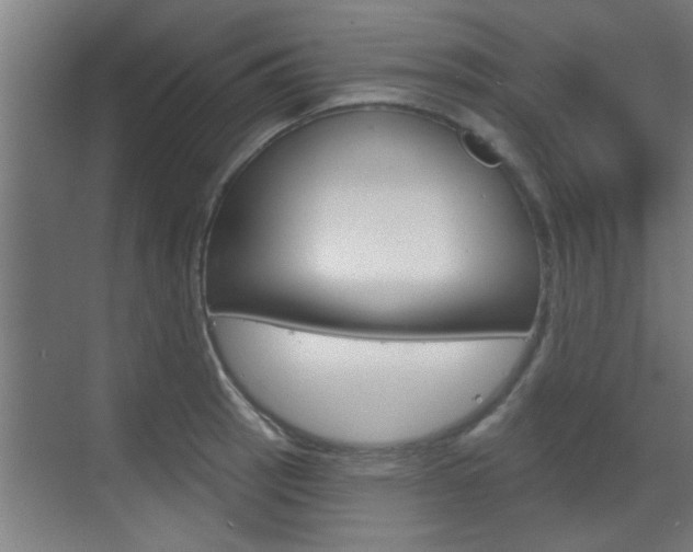 X0000070861137200606161004